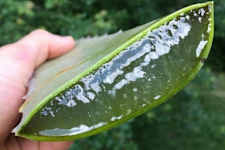 Men, You Don't Need the Blue Pill if You Do This Before Bed