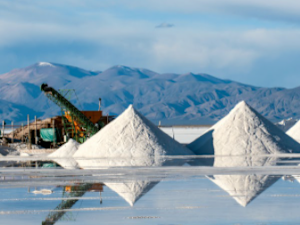 The Mineral That Could Make Elon Musk A Trillionaire