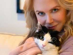 An Inside Look at Just How Mad These Stars Are for Their Cats