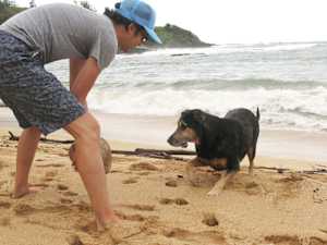 One Dangerous Meat Commonly Found in Name Brand Dog Food