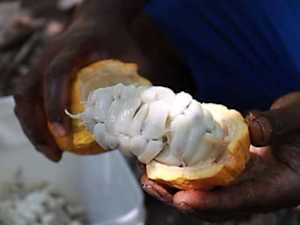 One Simple Routine Keeps Your Blood Sugar Below 100 (What They Don't Tell You)