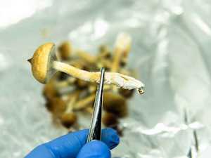 The Emerging Psychedelics Market Gives Investors an Exciting Opportunity