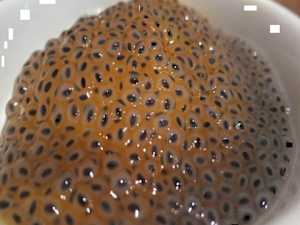 1 Cup (every Day) Melts Your Belly Fat Like Crazy!