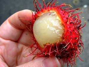 Everyone Who Believes in God Should Watch This. It Will Blow Your Mind