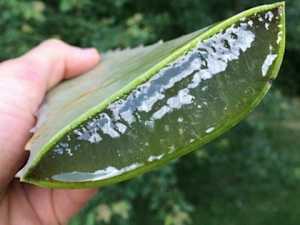 Men: You Don't Need the Blue Pill if You Do This (Try Tonight)