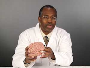 Renowned Neurosurgeon Memory Drug Takes Market by Storm