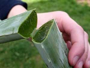 Urologists Stunned: Forget The Blue Pill, This "Fixes" Your ED