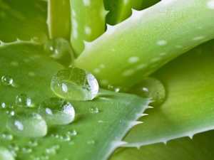 Urologist: 90% of Men with E.D Don't Know About This Easy Fix (Try It Tonight)