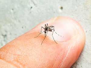 The Best Way to Stop Mosquitoes (Try This Tonight)