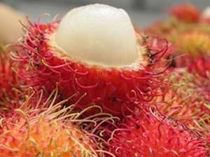 Fighting Diabetes? This Discovery Leaves Doctors Speechless!