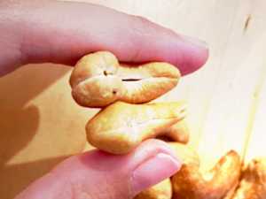 Fighting Diabetes? This Discovery Leaves Doctors Speechles