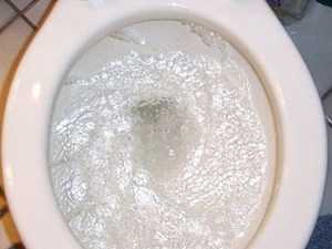 New Toilet Cleaner is Taking the Us by Storm