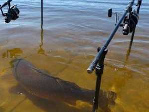 Hilarious Fishing Photos That Were Captured by Mistake